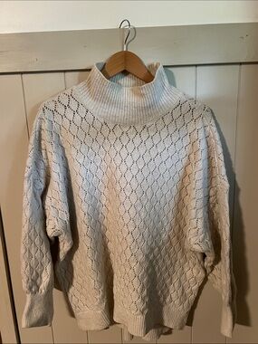 Wonderly Cream Open-Knit Turtleneck Sweater